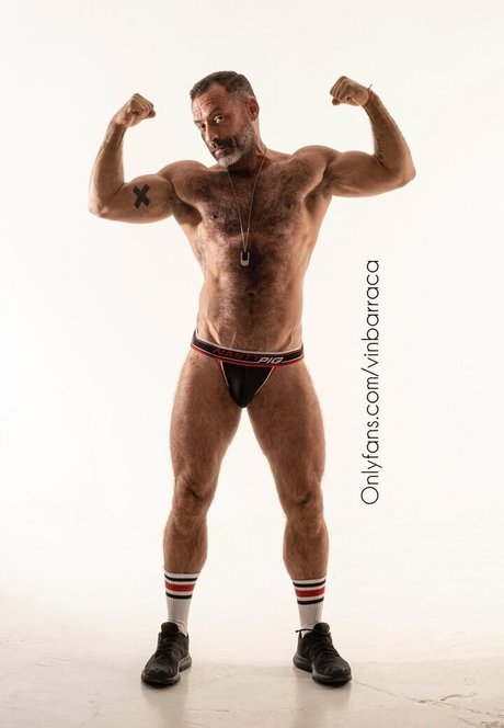 vinbarracafree étoile hd collection