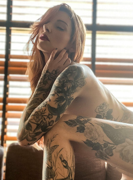 thepennyarcher star du porno hd collection