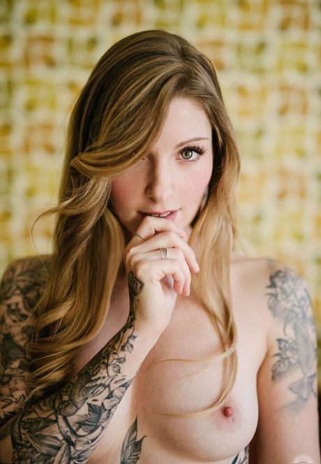 thepennyarcher modèle chaud galeries