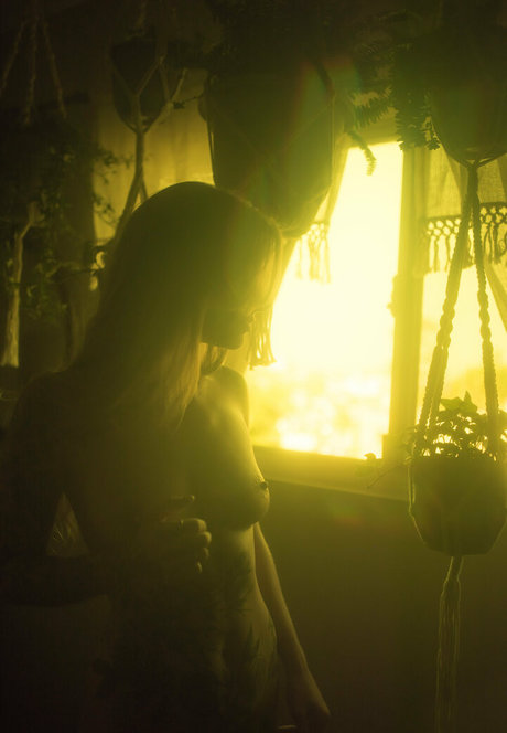 thepennyarcher étoile sympa images