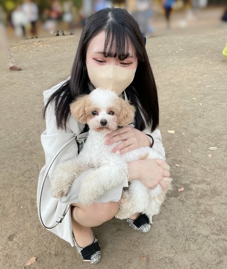 Hikaru Miyanishi star du porno chaude photo