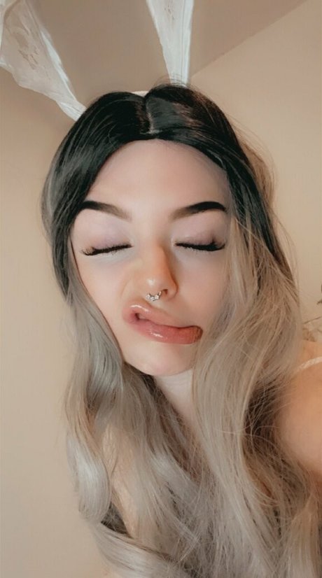 skyestone9 modèle meilleur galeries