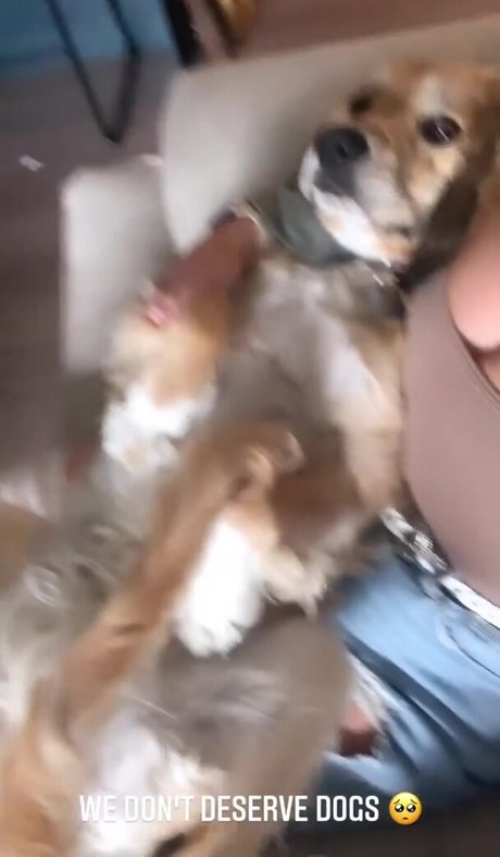 itssbriibitchh sexe star images