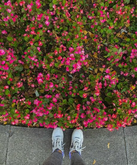 Gulia art star du porno des photos