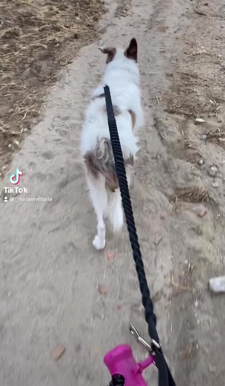 asiatique gratuit onlyfans exclusivité pornographique galeries