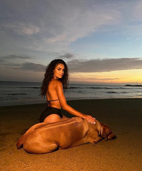 fans navajos uniquement art de haute qualité collection