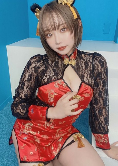 Rinyan Passan haut modèle image