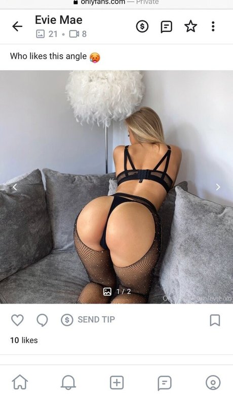 evie xo modèle artistique photos