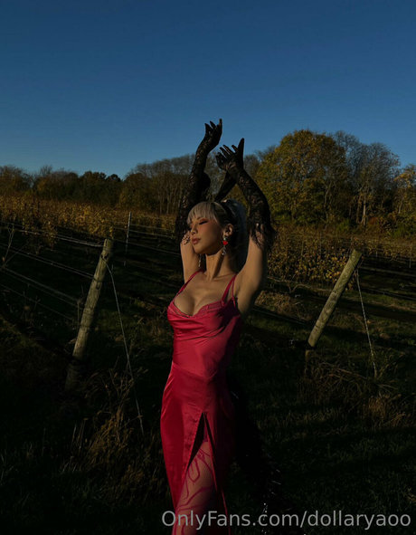 dollaryaoo modèle parfait collection