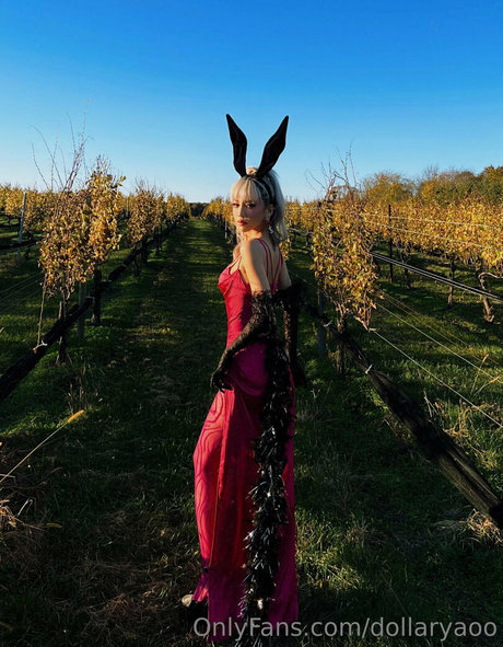 dollaryaoo étoile xxx galerie