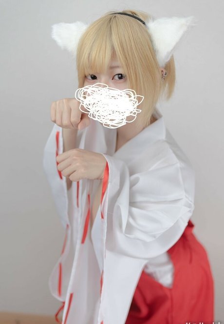 fans de salle de sport uniquement qualité supérieure photo