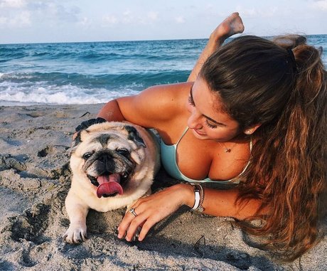 épouse arabe onlyfans érotique en haute qualité des photos