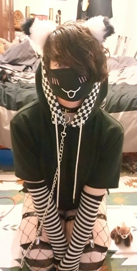 Wah Donka étoile hd galerie