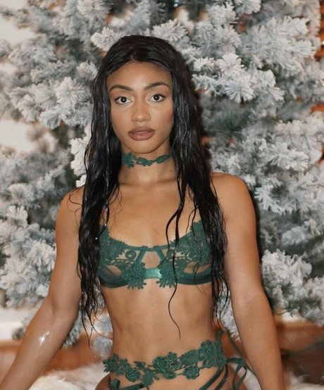 taylorchamp étoile gratuite photo