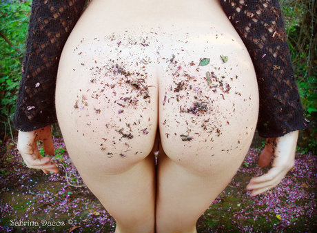 chaton courbé onlyfans magnifique parfait photos