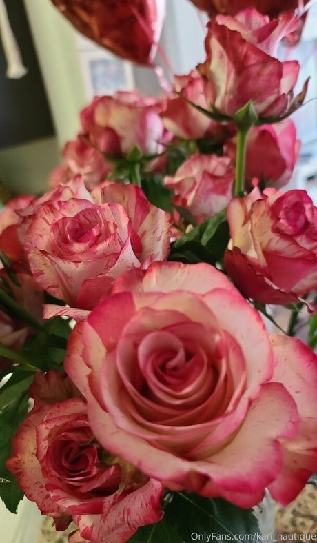 Kari Nautique sexe star archive