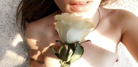 missharperlane jolie star du porno archive