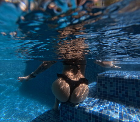 Oreoconsushi étoile galerie