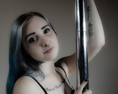 Silverbat belle étoile galerie