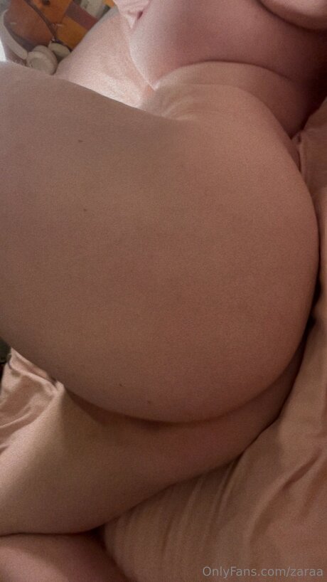 Zaraa étoile de haute qualité img