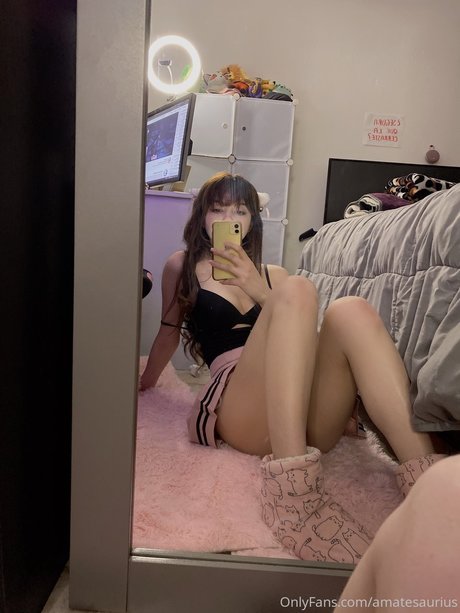 Amate Saurius modèle adulte collection