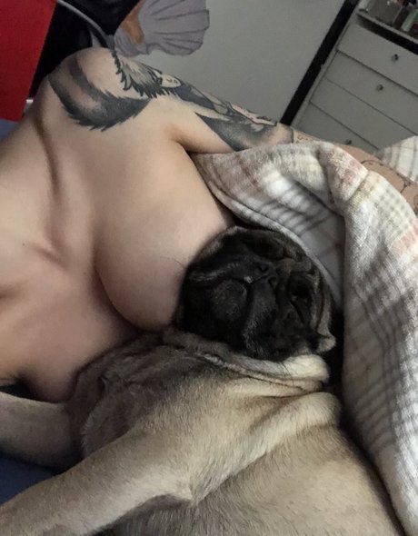 Trizpac modèle adulte images