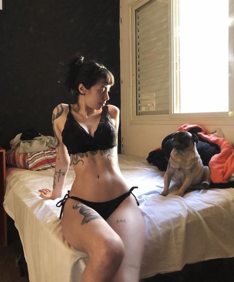 Trizpac modèle sympa image