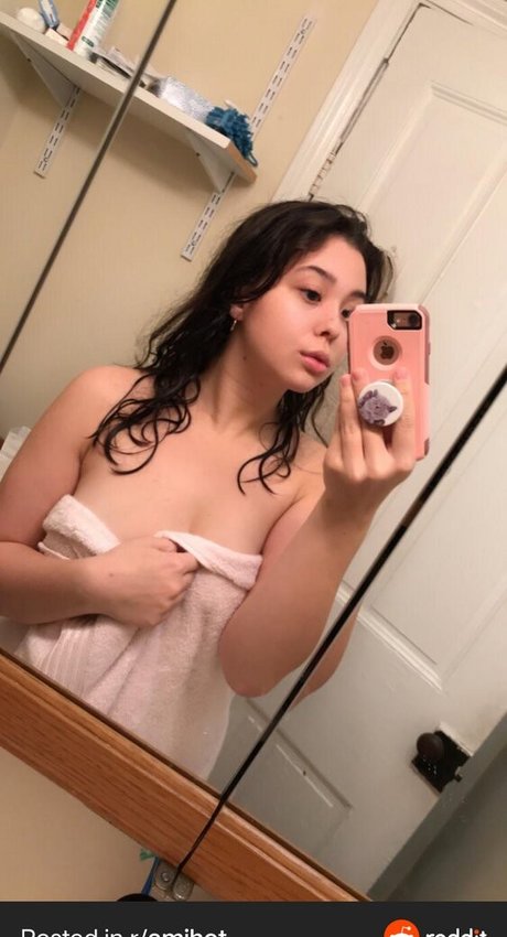 epanet modèle sympa archive