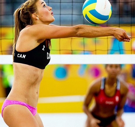 Taylor Pischke étoile gratuite image