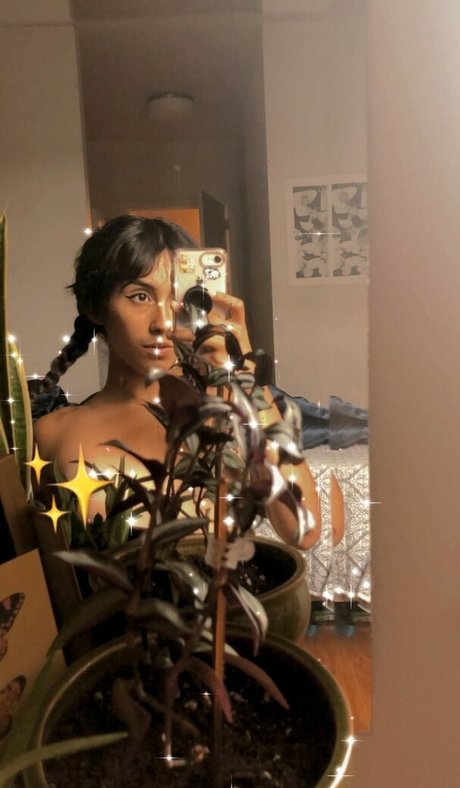 Lenamarisol étoile nue image