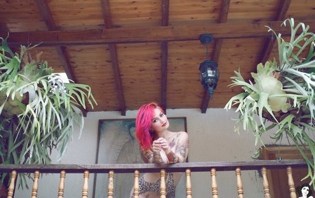 Fernanda Mercury modèle gratuit image