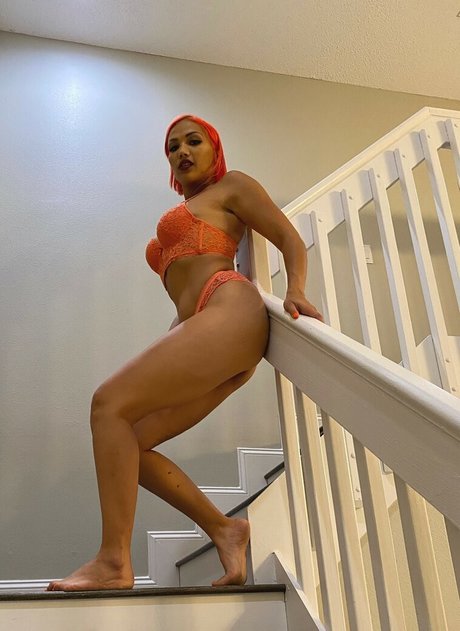 Salina De La Renta étoile exclusive image