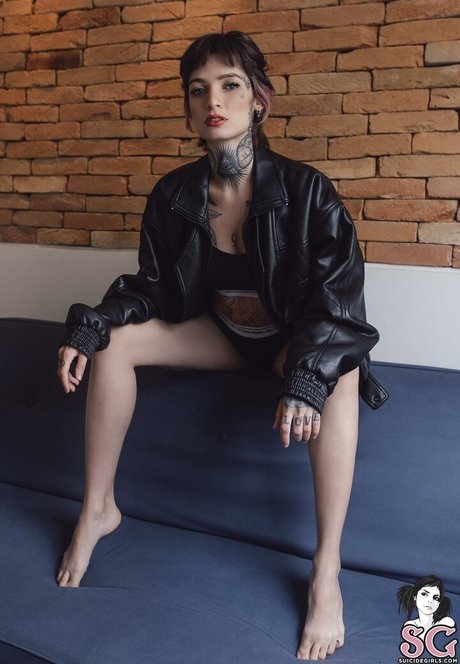 millene nus étoiles collection