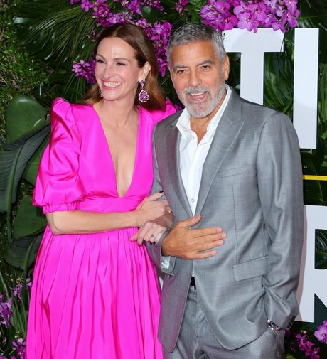 Julia Roberts modèle parfait image