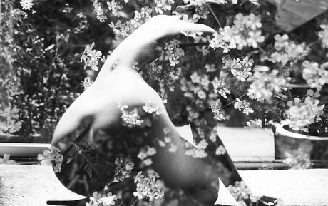 Katevmodel étoile parfaite des photos