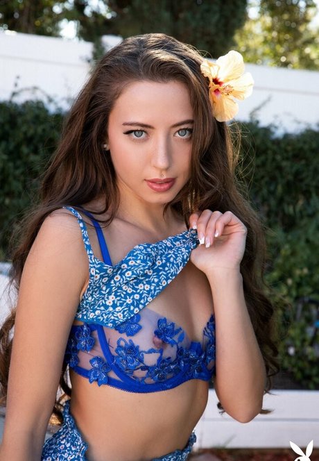 Lauryn Wolfe modèle exclusif galeries