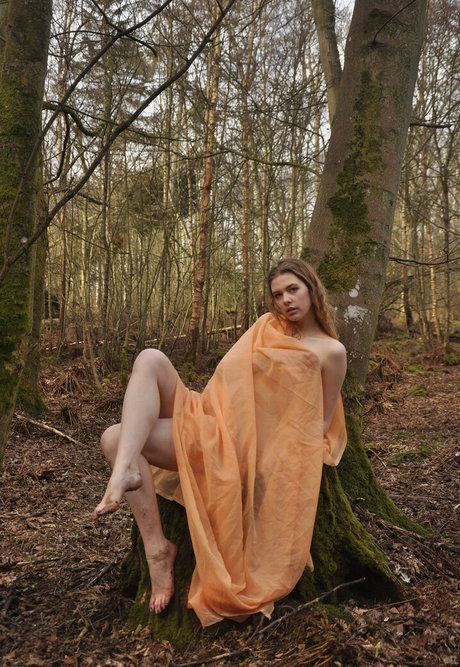 Aria Wednesday meilleure étoile images