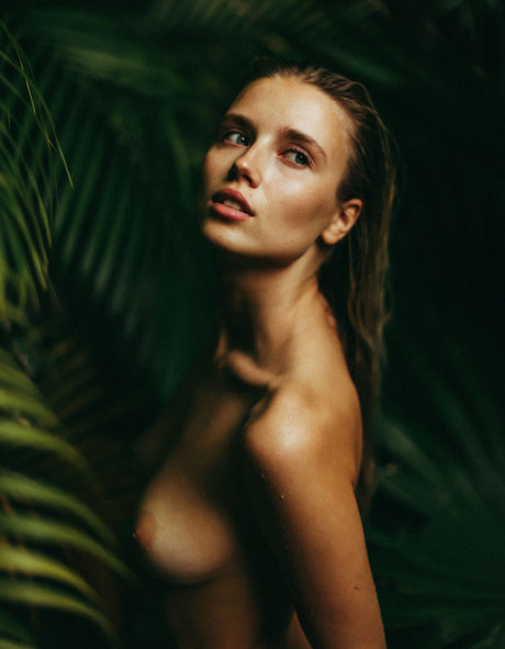 Sunkissedmag star pornographique collection