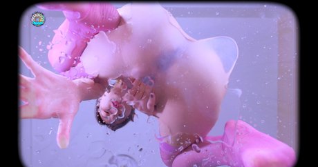 FullFive star du porno de haute qualité galerie