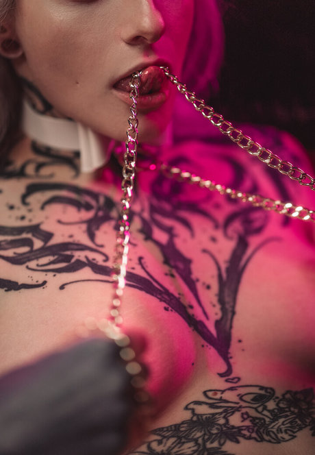 chaton courbé onlyfans adulte érotique collection