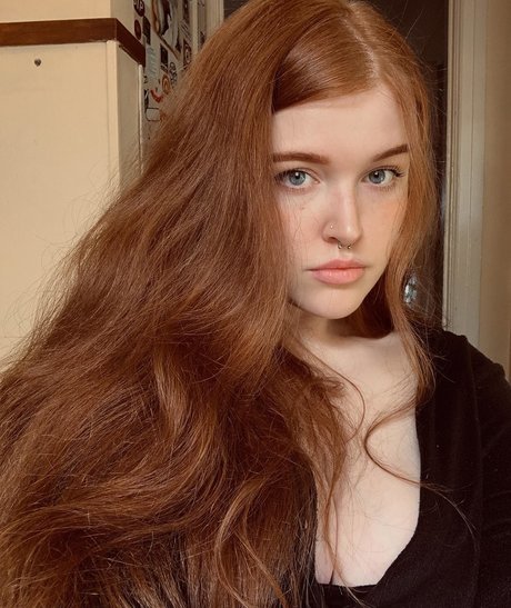 verysoftrobot meilleur modèle archive