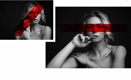 fans en fauteuil roulant uniquement art pornographique collection