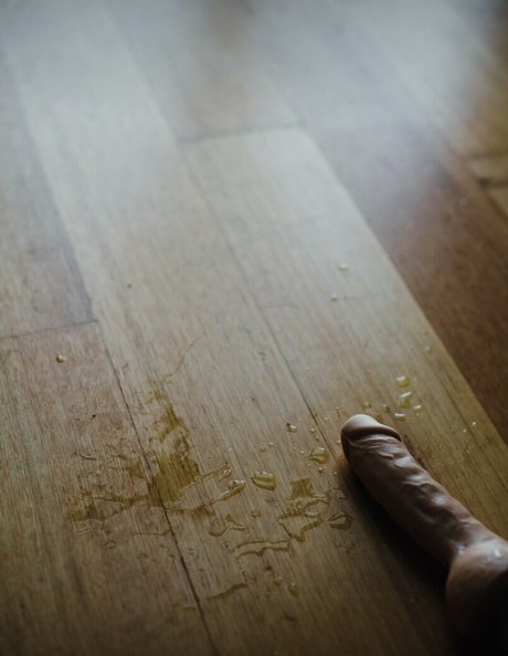 Kristina Wild étoile de haute qualité galerie