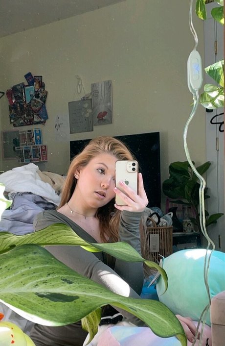 Lauren Suzaanne art étoile collection