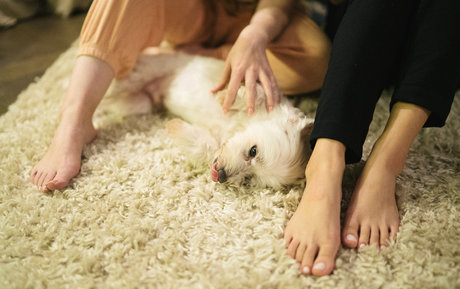 béance anale uniquementfans art gratuit img