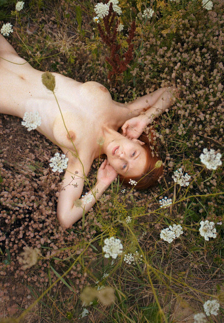 sofiia fox star du sexe photo