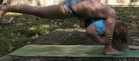 Darbvader_ star du porno érotique image