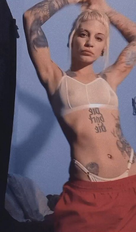 pp4ww star du porno hd collection