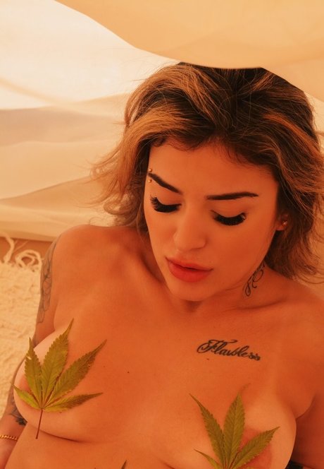 Brunna Hollinger étoile chaude archive