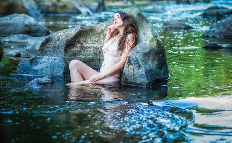 Fine Wolfanguar étoile exclusive des photos